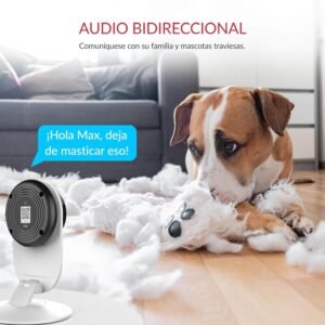 audio-bidireccional-yi-2k