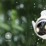 imagen destacada de camaras de vigilancia exterior con wifi